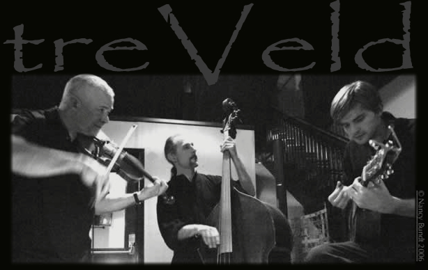 treVeld offers a unique and spirited blend of musical genres including Gypsy, Swing, Old Time, Celtic, Bluegrass, Blues, Chamber and Nordic Roots. Bill Plattes: violin & mandolin, Dustin Smith: guitars and Philip Rampi: upright bass, octave mandolin, minstrel banjo, dobro & udu. Radio play; The Morning Show (89.3, the Current), String Theory & Bluegrass Saturday Morning (KBEM), Currents (KAXE), The Pathways (WELY), Music Through The Day & Northland Morning (KUMD).